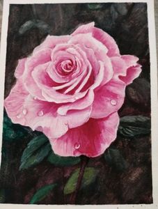 A Handmade Painting Of Pink Rose