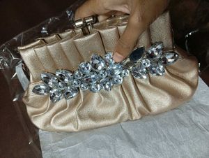 Elegant Evening Clutch