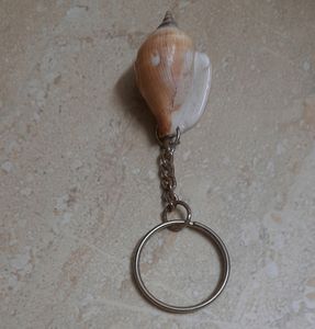Keychain Goa