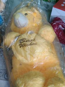 Cute Teddy Bear