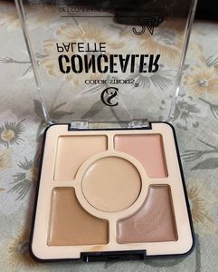 Color Strokes Concealer Palette