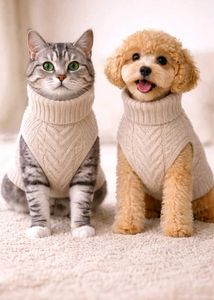 Dog  cat Winter Sweater