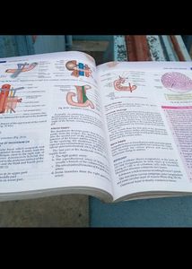 BD Chaurasia Anatomy  Quality Book
