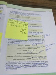 NCERT BIOLOGY CLASS 11th