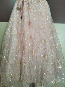 Brand New Lehenga Choli