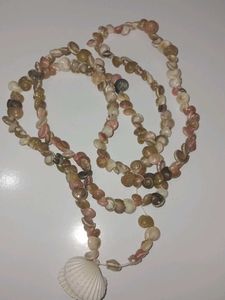 Seashell Necklace