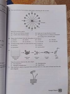 CBSE Sample Papers 2024 Of Science For 10th