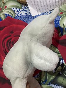 Teddy