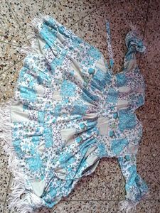 Embroidery Chikan Top