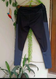 Selling Dry Fit Gym Lower