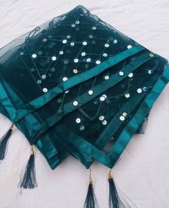 New Net Dupatta