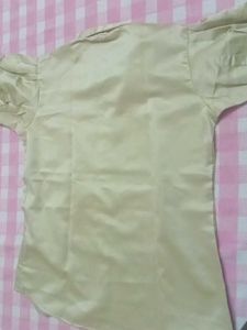 Elegant Cream Puff Sleeve Blouse