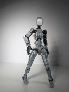 dummy 13 TYPE F on a kit card 3d Printed