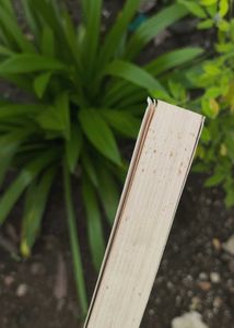 Verity by Colleen Hoover