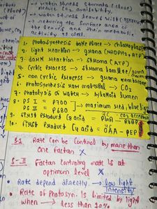 Handwritten Biology Notes