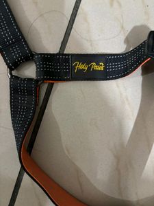 Last Price!!!No Pull Dog Training Leash