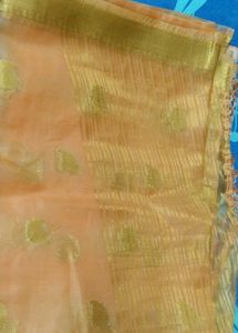Peach Organza Saree with Gold Detail