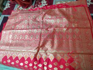 Pink Fancy Saree