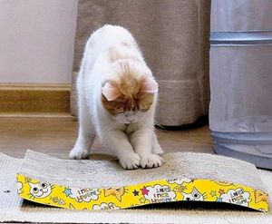 Unused Reversible Cat Scratcher