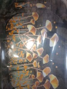 Set of 3 Serving Trays