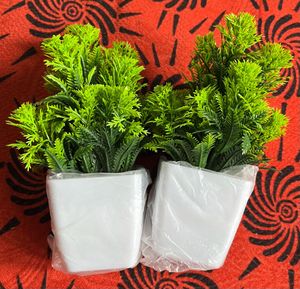 artificial plants