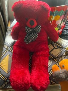 Large Teddy