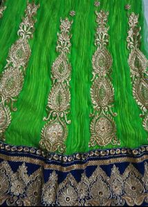 Elegant Lehenga Choli Set