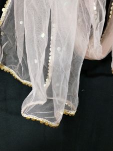 Light Pink Printed Netted Dupatta (Women)