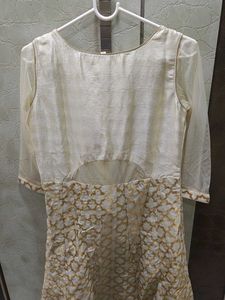 Elegant Ethnic Gown