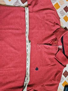 Cotton Rich Tshirt
