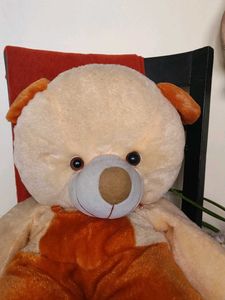 Giant Teddy Bear - Adorable!