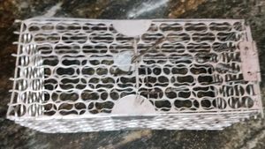 Rat Cage