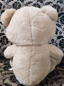 Teddy Bear Toy