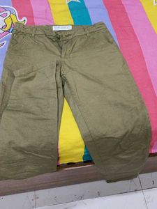 Olive Green Casual Pants