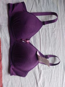Brand New Padded Bra