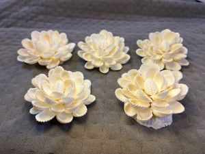Seashell Flower Set (5 Pcs)