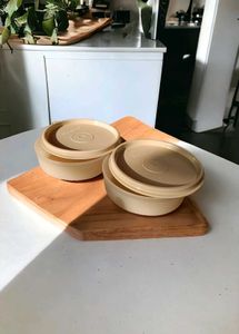 Tupperware Executive Lunch Set