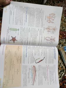 Class 9th Biology Book By Dev Jyoti Publication