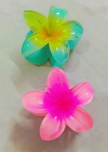 Hair Accessories