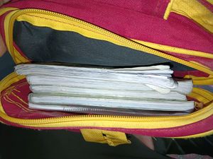 Motu Patlu School Bag For Nursery To 2class Kid