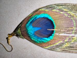Peacock Feather Earrings