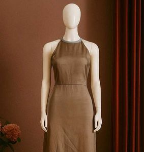 Elegant Brown Maxi Dress
