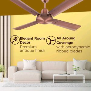 Hindware Delito 1200mm 4blade Fan