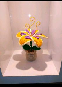 Custom Order For Jahanvi