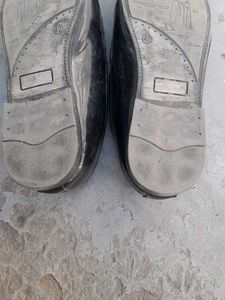 Eldow Party Wear