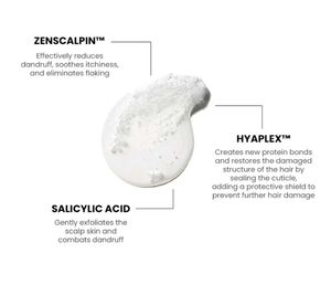 Pack Of 2 Salicylic Acid Anti Dandruff Shampoo