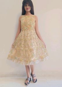 Embroidery Net One Peice Dress