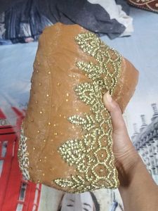 Elegant Embellished Saree