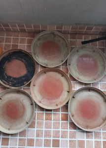 Set Of 6 Planter Plate