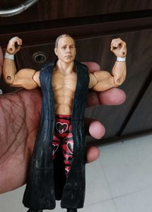 WWE Action Figures (3)